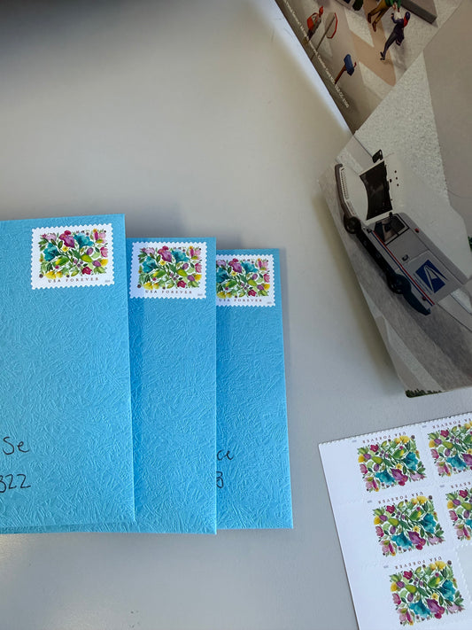 𝐿𝒾𝓉𝓉𝓁𝑒 𝓈𝑒𝑒𝒹 𝓅𝑜𝓈𝓉!🌱💌