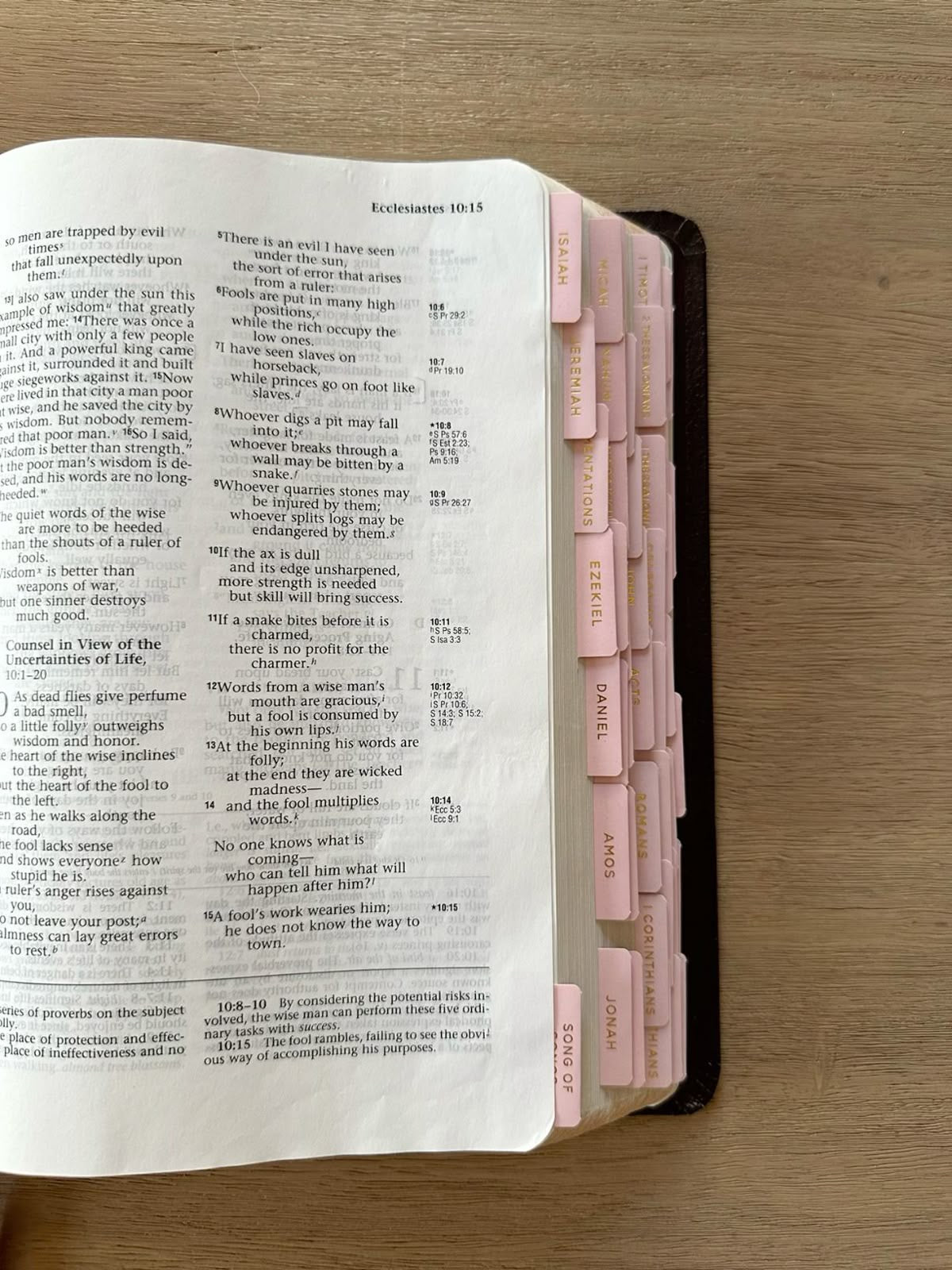 𝐿𝒾𝓉𝓉𝓁𝑒 𝓈𝑒𝑒𝒹 𝓅𝑜𝓈𝓉 𝟥-𝓂𝑜𝓃𝓉𝒽 𝒷𝓊𝓃𝒹𝓁𝑒💌